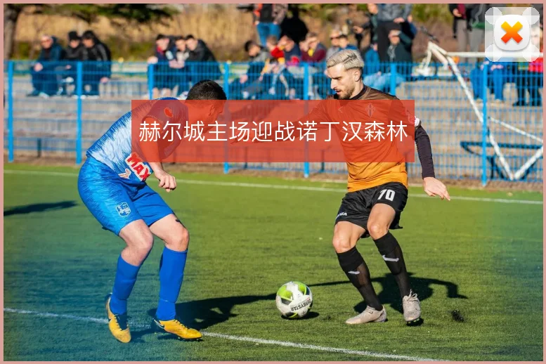 赫尔城主场迎战诺丁汉森林