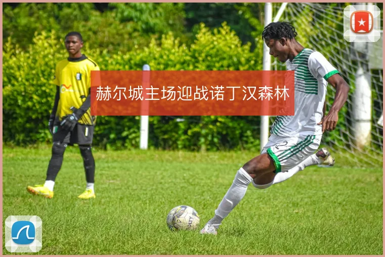 赫尔城主场迎战诺丁汉森林